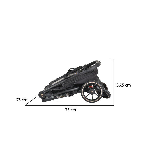 Sizes